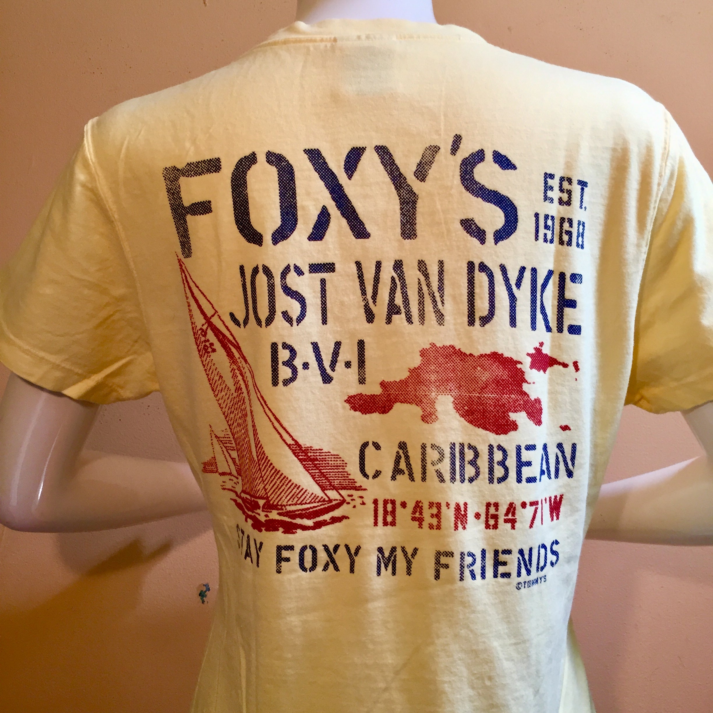 Foxy's 'Stencil Sail' Ladies Short Sleeve V-neck Tee