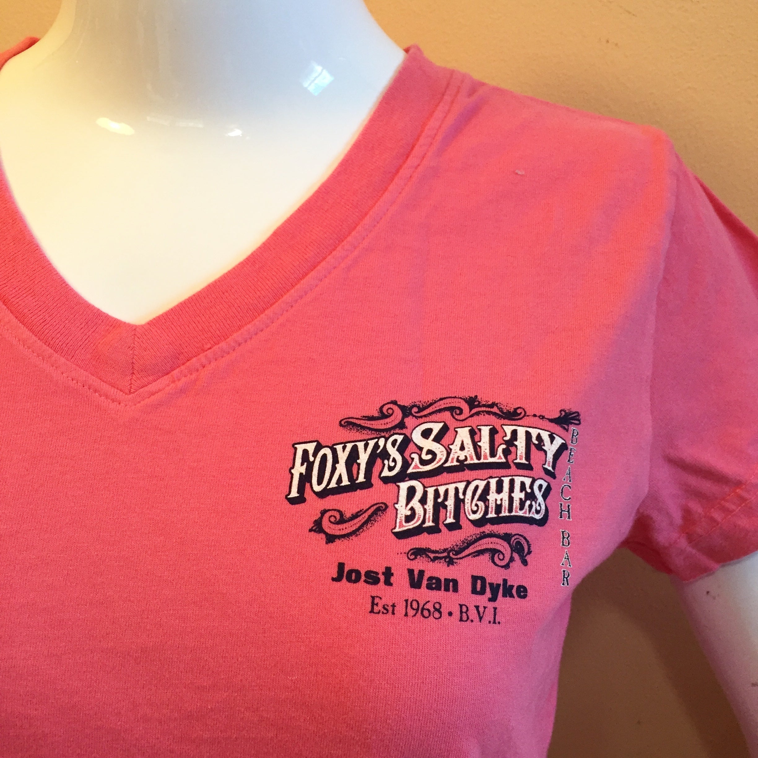 Foxy's 'Salty Bitches' Ladies V-neck Tee