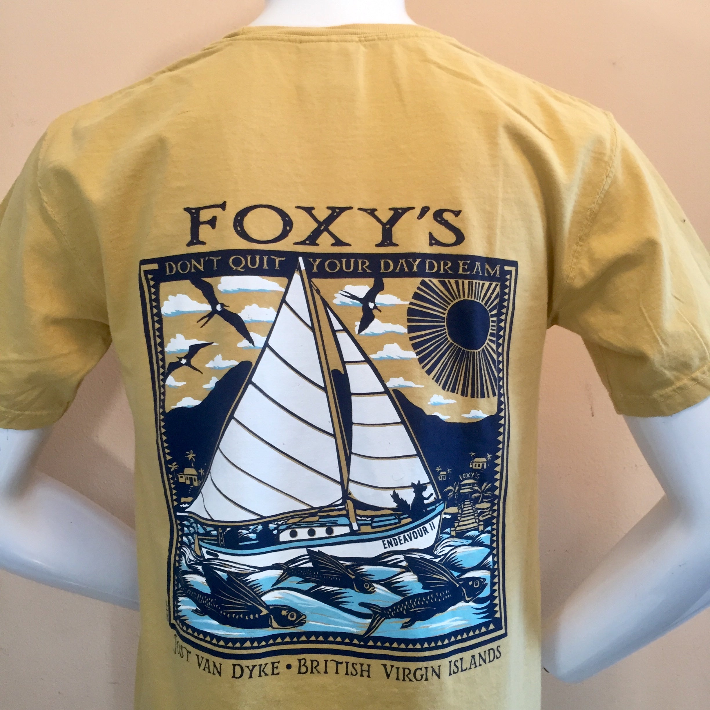Foxy's 'Don't Quit Your Daydream' Short Sleeve Tee – Foxy's BVI